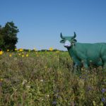 Er, did I just fix Covid-19?